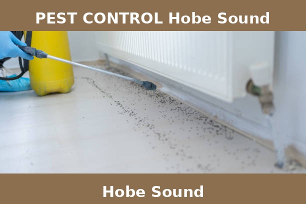 PEST CONTROL Hobe Sound